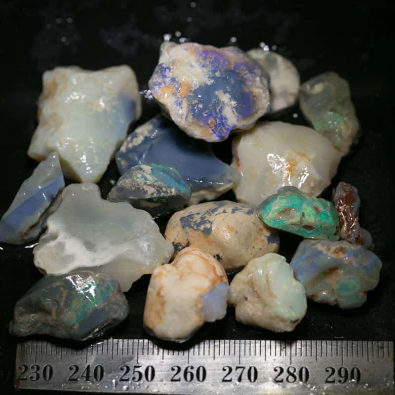 272 ct Beginners Rough Opal with Video Tutorials