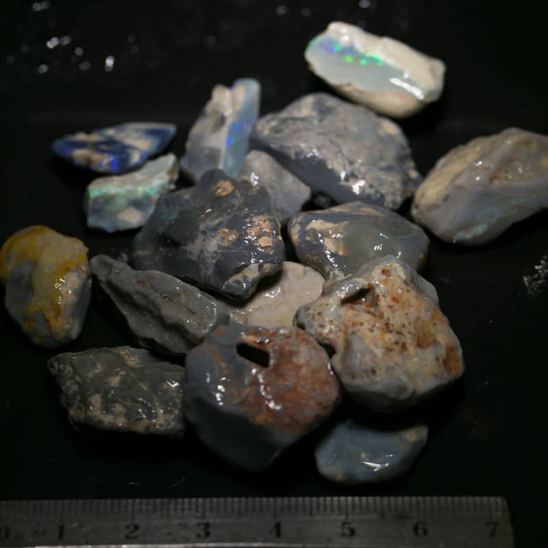 277 ct Beginners Rough Opal with Video Tutorials