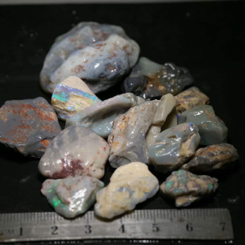 282 ct Beginners Rough Opal with Video Tutorials