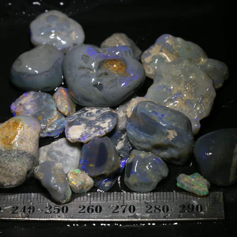 292 ct Beginners Rough Opal with Video Tutorials