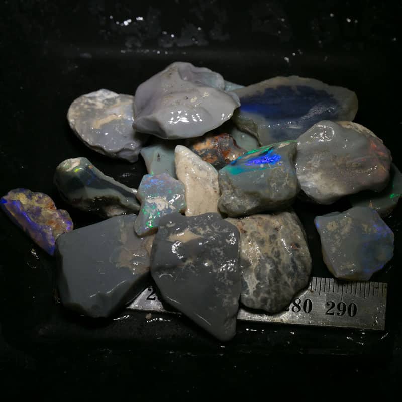 296 ct Beginners Rough Opal with Video Tutorials