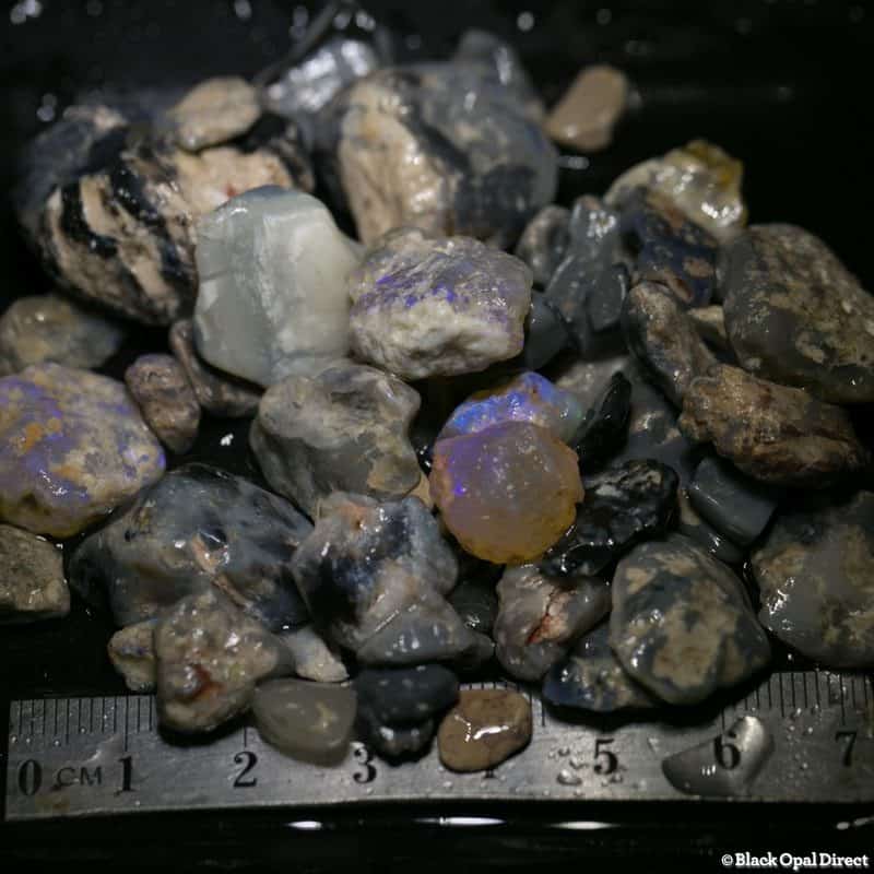 297 ct Beginners Rough Opal with Video Tutorials