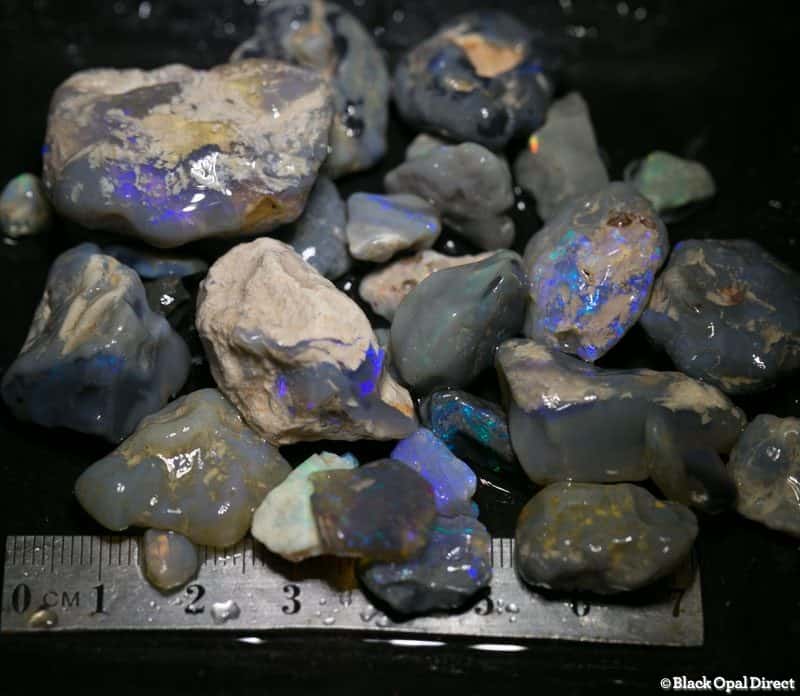 317 ct Beginners Rough Opal with Video Tutorials