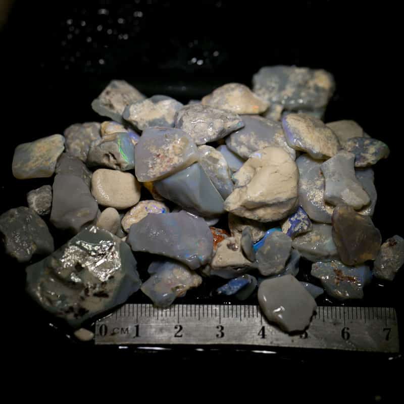 341 ct Beginners Rough Opal with Video Tutorials