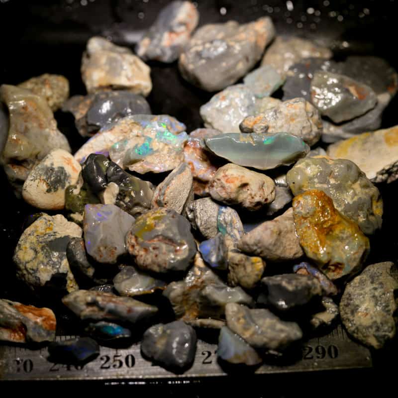 351 ct Beginners Rough Opal with Video Tutorials