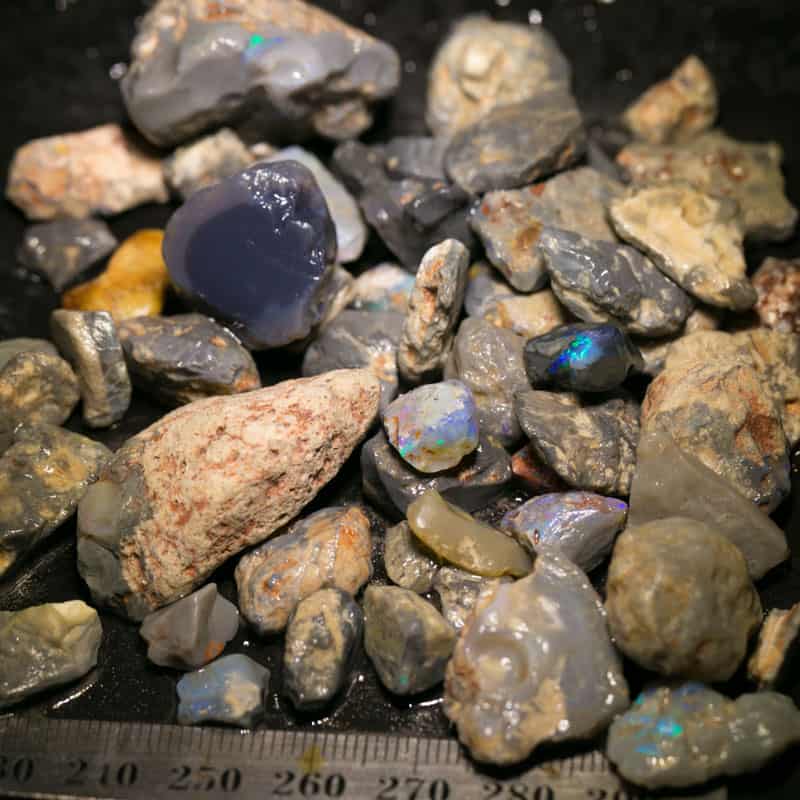369 ct Beginners Rough Opal with Video Tutorials