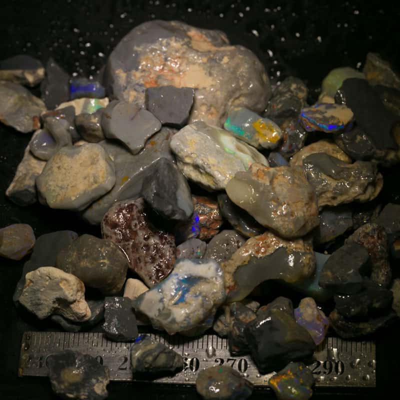 449ct Beginners Rough Opal with Video Tutorials