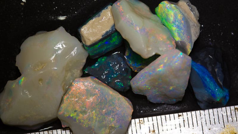 47 ct rough opal parcel 9 pieces