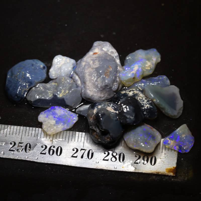 73ct Beginners Rough Opal with Video Tutorials