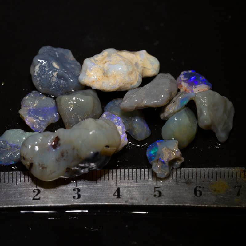 76 ct Beginners Rough Opal with Video Tutorials