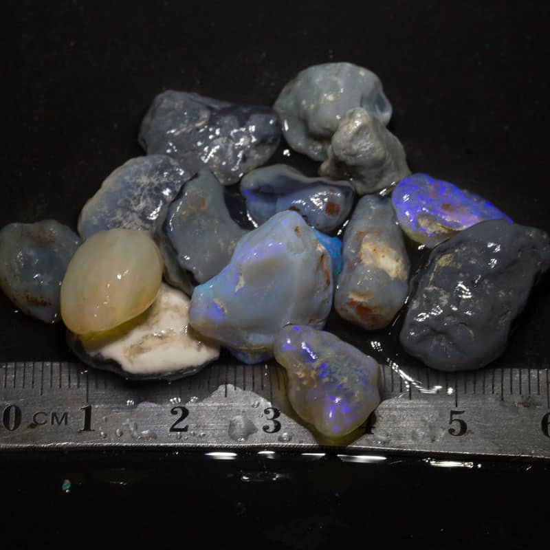 89 ct beginner rough opal parcel with tutorials