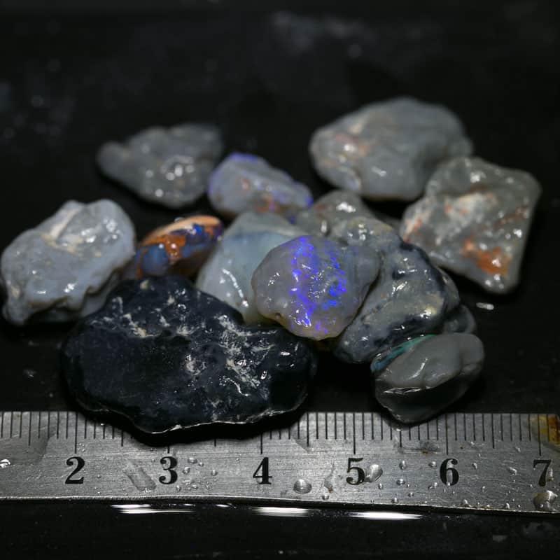 99 ct Beginners Rough Opal with Video Tutorials