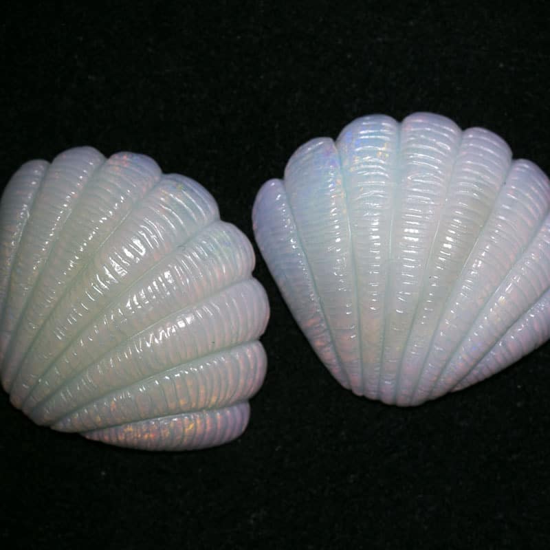 Shell Carving Pair 18.65ct