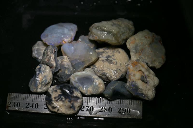 237 ct Beginners Rough Opal With Video Tutorials